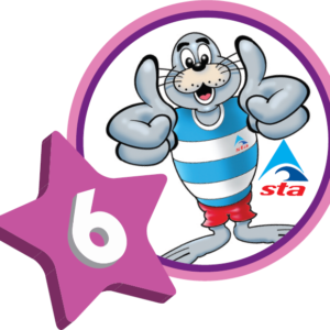 STAnley 6 Award - Badge & Certificate